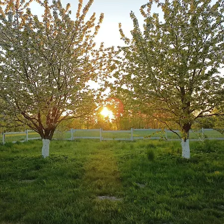 Miejsce Dla Chcacych Odpoczac *