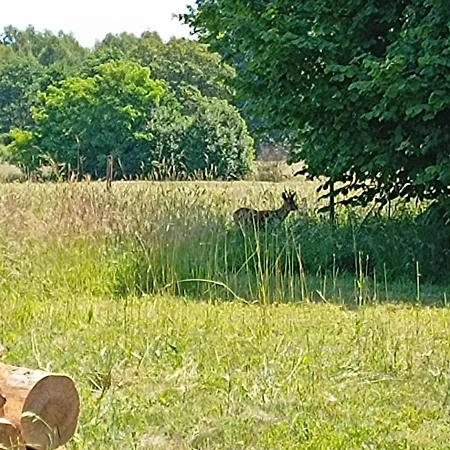 Miejsce Dla Chcacych Odpoczac Σπίτι διακοπών