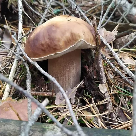 Miejsce Dla Chcacych Odpoczac Σπίτι διακοπών *