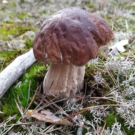 Miejsce Dla Chcacych Odpoczac Σπίτι διακοπών