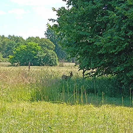 Miejsce Dla Chcacych Odpoczac *