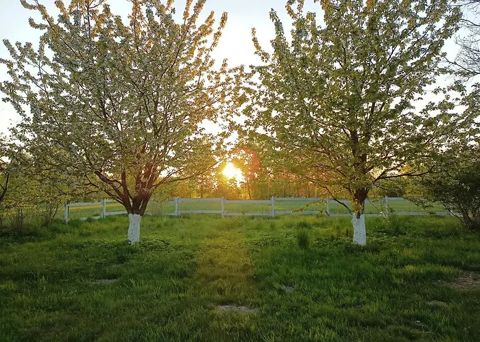 Miejsce Dla Chcacych Odpoczac *