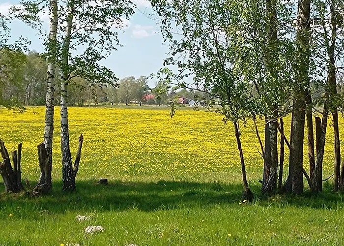 Semesterbostad Miejsce Dla Chcacych Odpoczac *