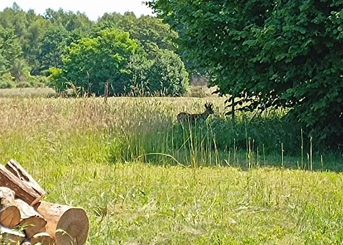 Miejsce Dla Chcacych Odpoczac Semesterbostad