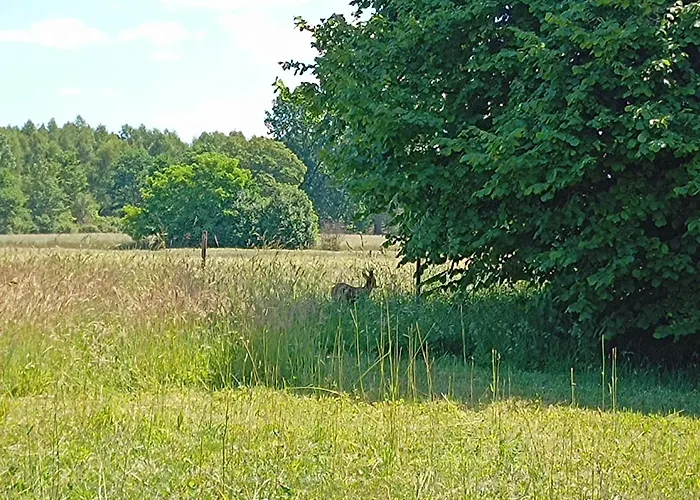 Miejsce Dla Chcacych Odpoczac *